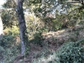 Photo numero 45313442 du bien UBI450433547